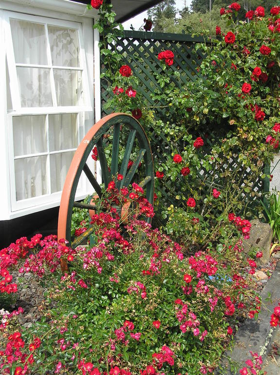 Coachman Motel Taihape Esterno foto